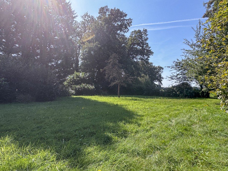 Garten des Wohnhauses Bauernhaus Halle
