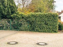 Zufahrt Filetgrundst�ck in gewachsenem Wohngebiet f�r ein 1-4 Familienhaus - Citynah in Versmold