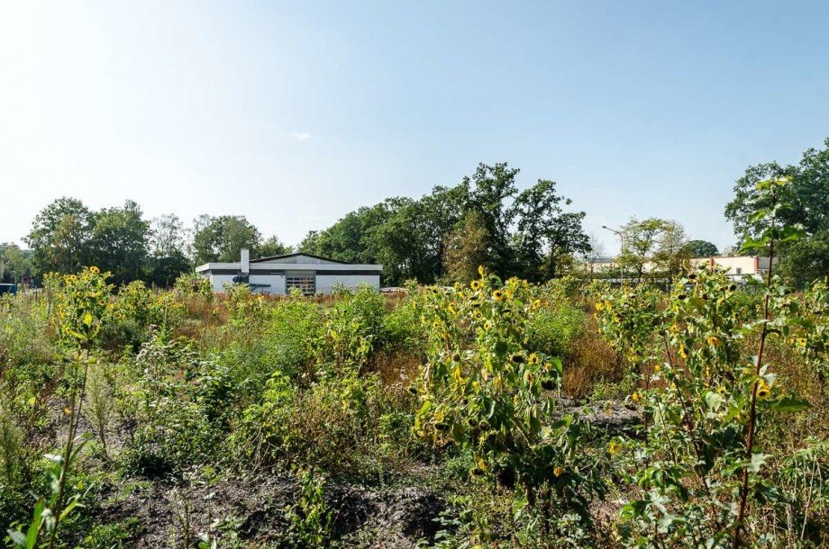 Grundst�ck Gewerbegrundst�ck Bielefeld