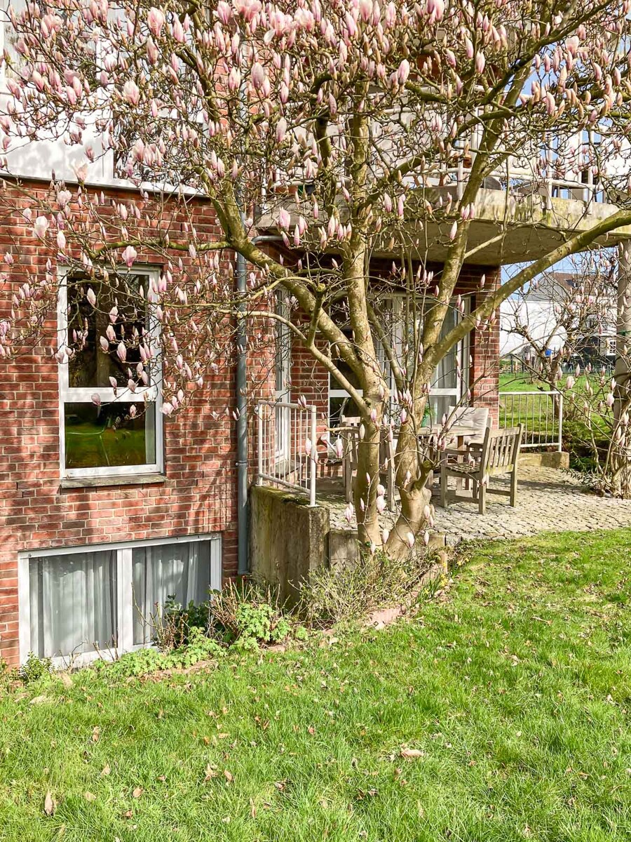 Gartenseite Fenster B�ro im Souterain Erdgeschosswohnung Bielefeld / Schildesche