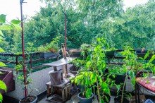 Balkon Ruhige 3 Zimmer Wohnung - ab M�rz bezugsfrei! - mit Gr�nblick in Bielefeld - Gellershagen.