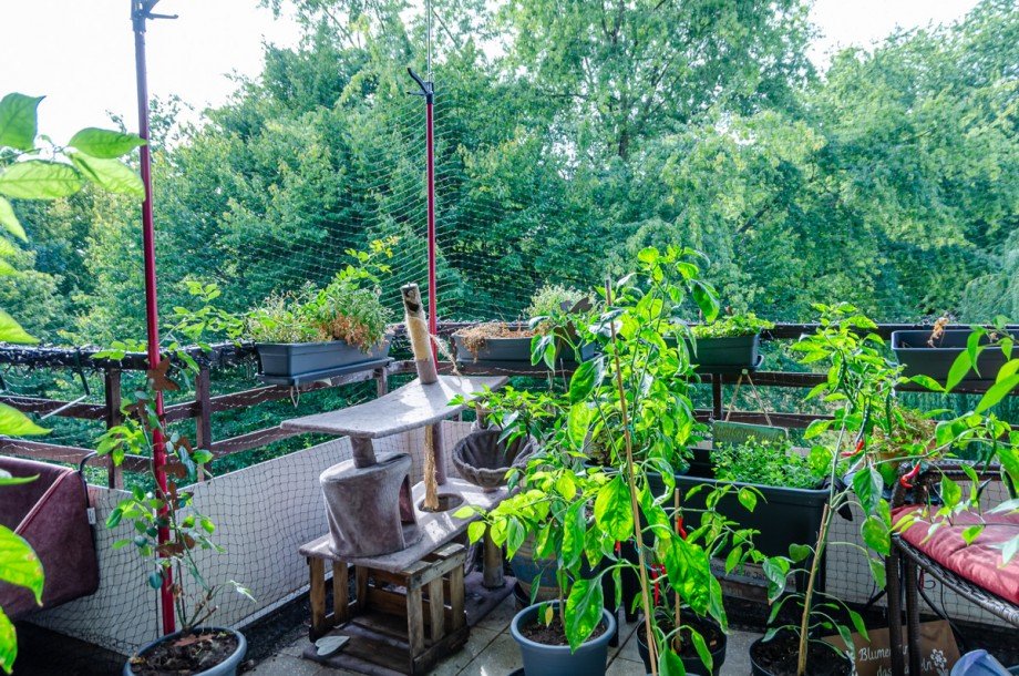 Balkon Etagenwohnung Bielefeld