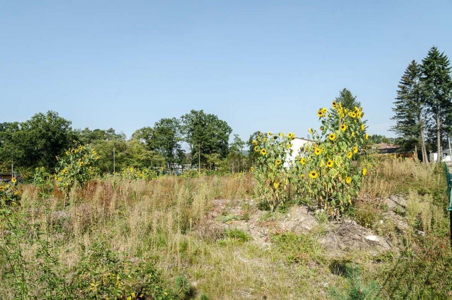 Grundst�ck Gewerbegrundst�ck Bielefeld