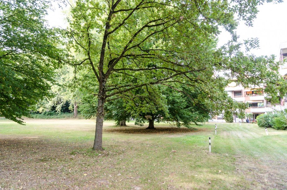 Garten Etagenwohnung Bielefeld
